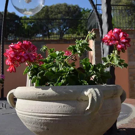 Al Boschetto Apartment Scario