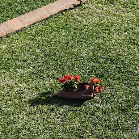 Al Boschetto Apartment *